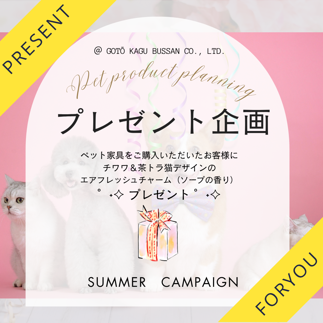 °˖✧°˖✧ペット家具SUMMERCAMPAIGN°˖✧°˖✧
