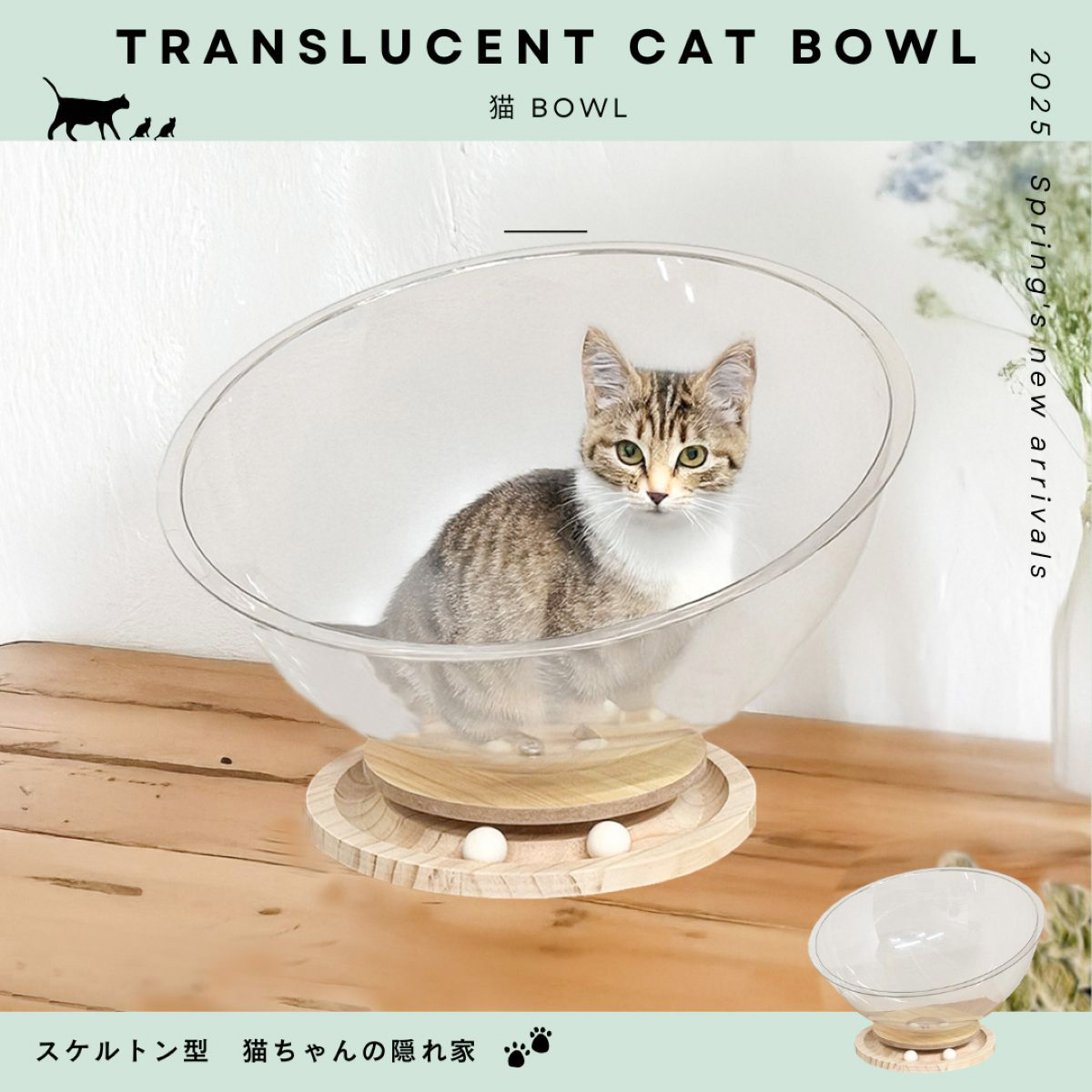 PET素材のスケルトン 猫bowl  【5月下旬頃入荷予定】