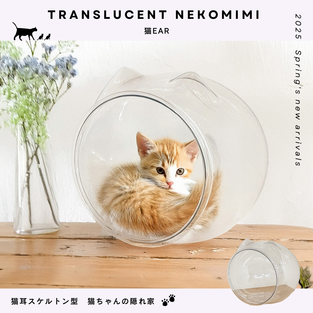 猫耳PET素材のスケルトンボール　猫ear  【5月下旬頃入荷予定】