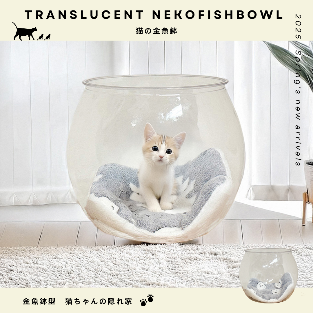 PET素材のスケルトンボール　猫の金魚鉢　【5月下旬頃入荷予定】