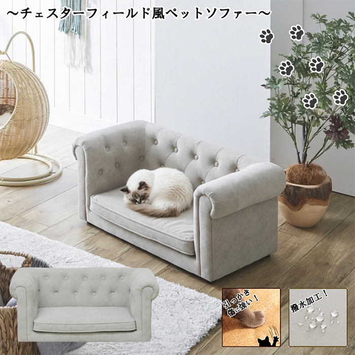チェスターフィールドソファーを彷彿とさせるモダンでゴージャスなペットソファー！